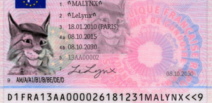 Quel est le prix du permis en Belgique ? 